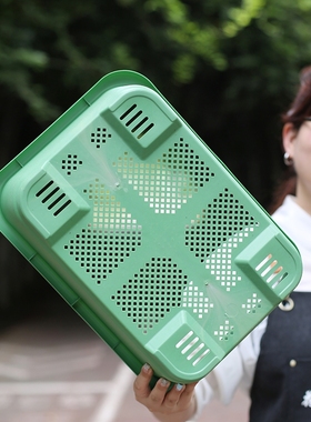 新款特大阳台种菜盆自吸水家用种菜专用盆长方形塑料蔬菜种植花盆