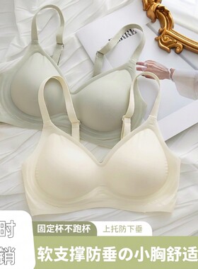 外扩内衣女聚拢小胸显大漫画胸