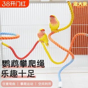 鹦鹉攀爬绳吸盘旋转款玻璃站杆攀爬解闷玩具虎皮玄凤牡丹专用站杆