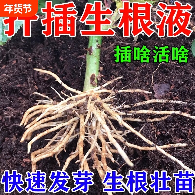 快速生根液植物通用扦插月季多肉富贵竹蝴蝶兰水培移栽专用强力P,鲜花速递/花卉仿真/绿植园艺,家庭园艺肥料,淘宝优惠券,粉丝福利购,淘宝优惠卷