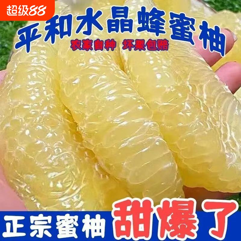 正宗福建平和琯溪水晶白心蜜肉柚5-9斤新鲜水果当季密柚蜜柚爆汁