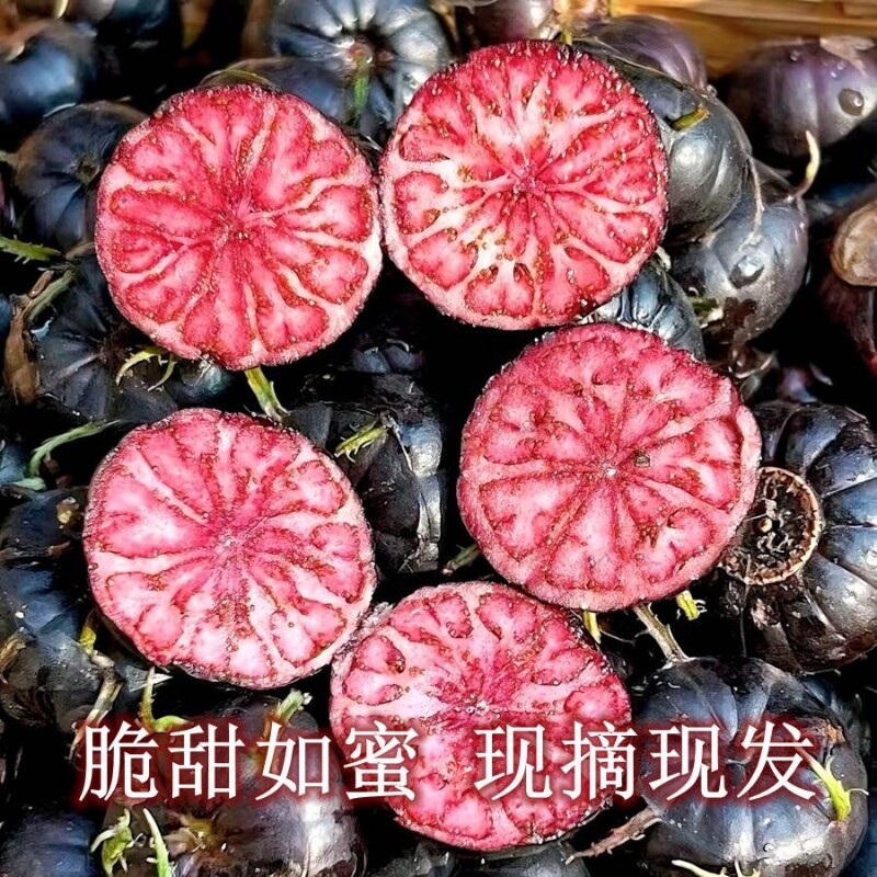 精品云南红果参鲜果礼盒当季水果新鲜蜘蛛果稀罕野生莓整箱包邮