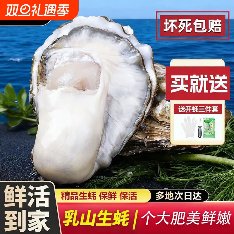正宗乳山牡蛎生蚝5斤生鲜海鲜海蛎子顺丰鲜活包活水产渔民直供