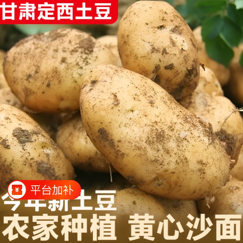 甘肃定西土豆新鲜黄心沙面土豆马铃薯农家土豆洋芋沙面土豆9斤