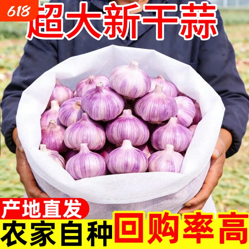 今年新干蒜5斤大蒜头果干蒜当季新鲜干蒜5斤批发自种回购去皮白皮