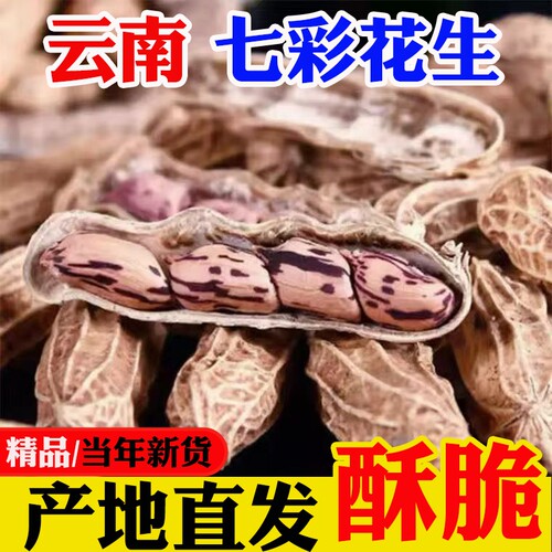云南七彩带壳新货特产原味不上火