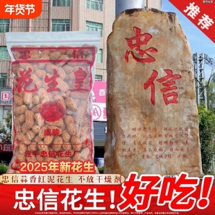 河源忠信水煮花生 日晒咸脆红泥花生皇晒干带壳咸香软糯口感