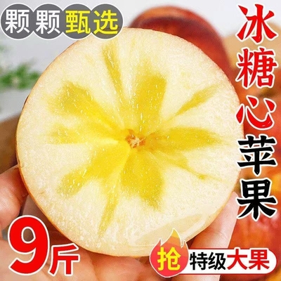 【应季】正宗纯天然苹果红富士当季冰糖新鲜水果应季批发整箱