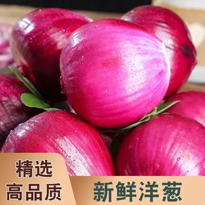 紫皮洋葱新鲜蔬菜小洋葱头红葱农家自种现摘现发5斤现挖不辣农家