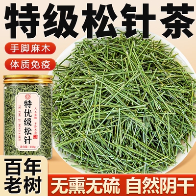 野生松针茶的功效泡水养生茶