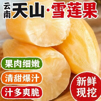 天山雪莲果新鲜水果大果云南