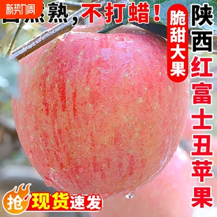 年货节 包邮 陕西红富士苹果应当季 水果孕妇高山脆甜冰糖心丑平果