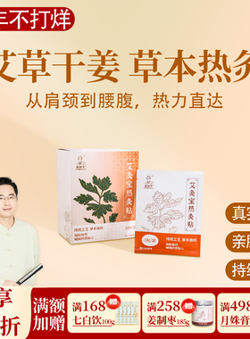 艾灸宝热灸贴一盒(10贴)草本热敷贴 艾草 生姜 亲肤透气 随时温暖