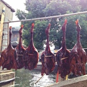 安昌酱鸭绍兴特产安昌古镇酱老鸭 整只呆婆鸭生酱腊板鸭 杭州酱鸭