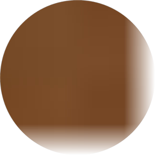 净重4.2斤扬州盐水鹅，特产咸水鹅吃了忘不了齐家老 鹅东关街老鹅