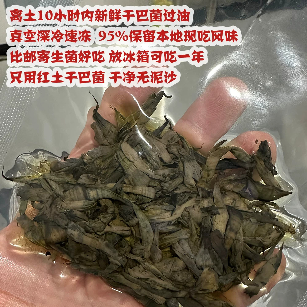 云南野生菌当天现采新鲜干巴菌