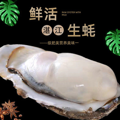 广东湛江生蚝肉壳鲜活5斤特大新鲜蒜蓉烧烤粉丝贝类2500g顺丰包邮