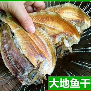 大地鱼干商用广东汕尾特产沙锅云吞汤料铁铺鱼干偏口鱼干比目鱼干