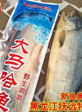东北黑龙江抚远特产纯江鱼咸鱼