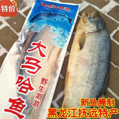 东北黑龙江抚远特产纯江鱼咸鱼