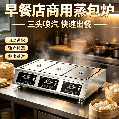 进口电脑版芯片智能蒸汽炉蒸米饭