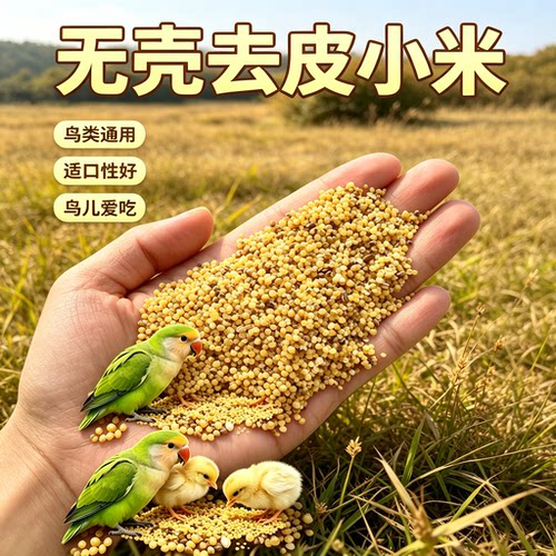 碎小米便宜米草籽米喂鸡特价清仓色选米鸟粮饲料鸡鸭鹅饲料鸟食