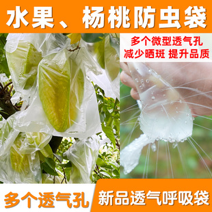 大号杨桃防虫袋杨桃套袋防虫专用袋水果套袋促生长透明保护薄膜袋
