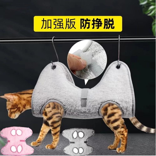 Новая домашняя кошка красавица Hammine Triming Nails, купание, очистка ушная подвеска.