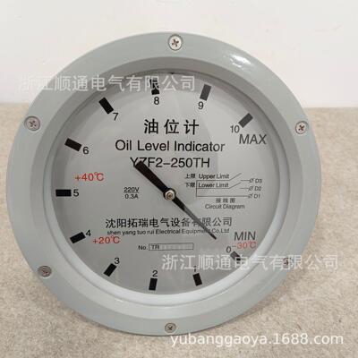工厂直销YZS3-200 YZS3-250 YZF2YZF3沈阳拓瑞油位表变压器指针式