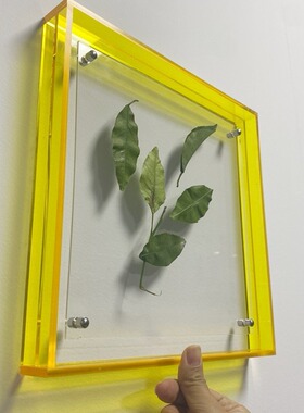 轻奢亚克力透明洗照片做成相框摆台ins风挂墙装裱画框8寸A4证书框