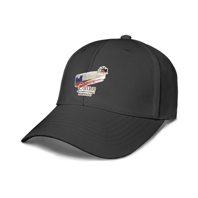 智利Chile圣地亚哥国旗标志鸭舌帽男女帽子运动棒球帽0010设 无界