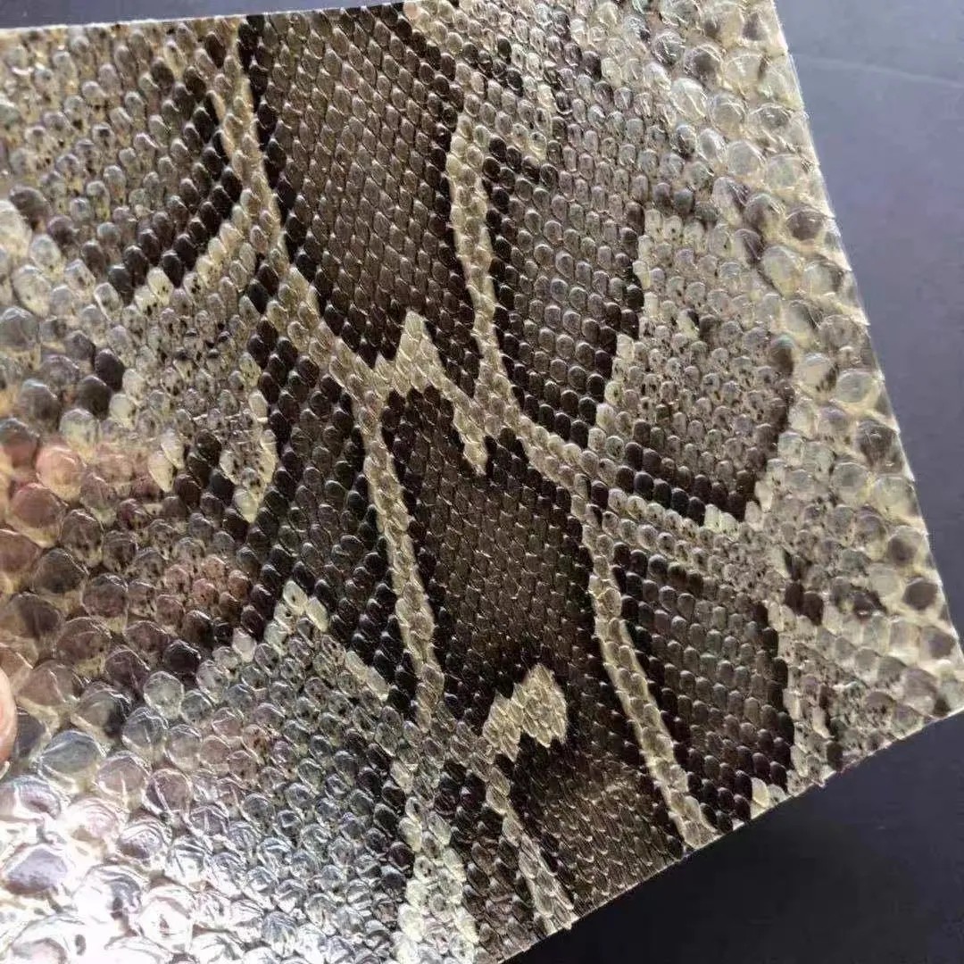 越胡皮京胡皮小蟒皮薄皮越胡京胡花鼓大筒蟒蛇皮优质单块越胡尾皮