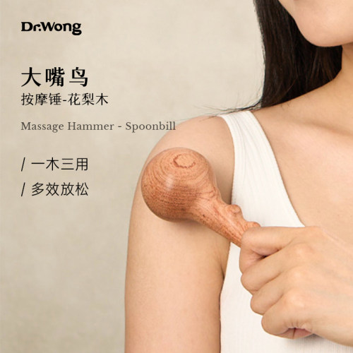 Dr.Wong「大嘴鸟」按摩锤敲打锤