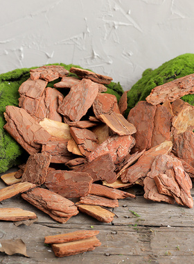 木树枝摆件自然角幼儿园植物角户外装饰创意微景观树皮场景布置