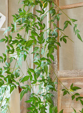 家居墙壁挂件室内森系