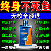 锦鲤鱼病专用药亚甲基蓝治白点净水霉疗烂尾烂身烂鳃炸鳞消毒杀菌