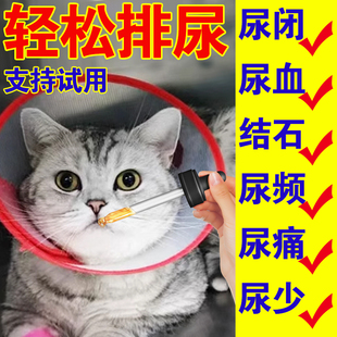 猫咪尿频尿血猫尿闭药膀胱炎尿道炎尿路感染消炎尿不出来咪尿通