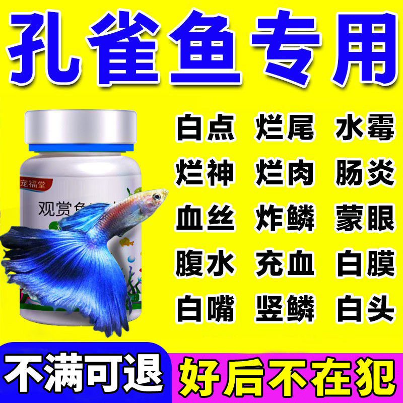 孔雀鱼病专用鱼药白毛白点炸烂身烂鳍烂尾烧尾消毒杀菌万能康复剂