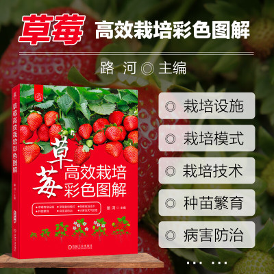 草莓高效栽培彩色图解