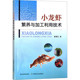 小龙虾饲料营养 小龙虾养殖书养虾书 亲虾培育 虾卵孵化 小龙虾繁养与加工利用技术 幼虾培育成虾养殖模式 水产渔业养殖技术指导书