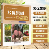 栽培习性与品种 生物学特性 应用价值 25种木本落叶果树 4种多年生草本果树 名优果树原色图鉴 24种木本常绿果树 果树起源分类