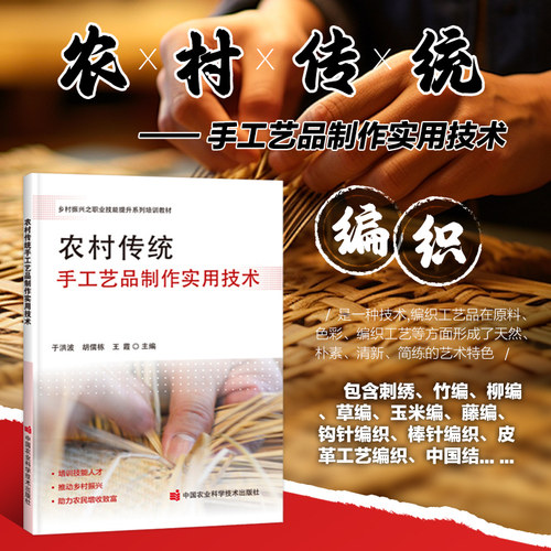 正版书籍农村传统手工艺品制作