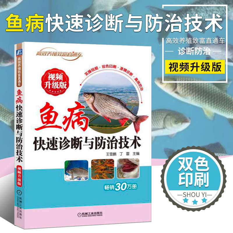正版书籍 鱼病快速诊断与防治技术视频升级版 养鱼疾病治疗书 搭高效池塘养鱼技术养鱼书籍 科学水产养殖养鱼技术手册鱼药使用方法