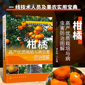 果树栽培修剪图解丛书 柑橘高产优质栽培与病虫害防治图解