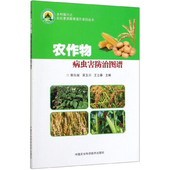 正版 乡村振兴之农民素质教育提升系列丛书 书籍农作物病虫害防治图谱