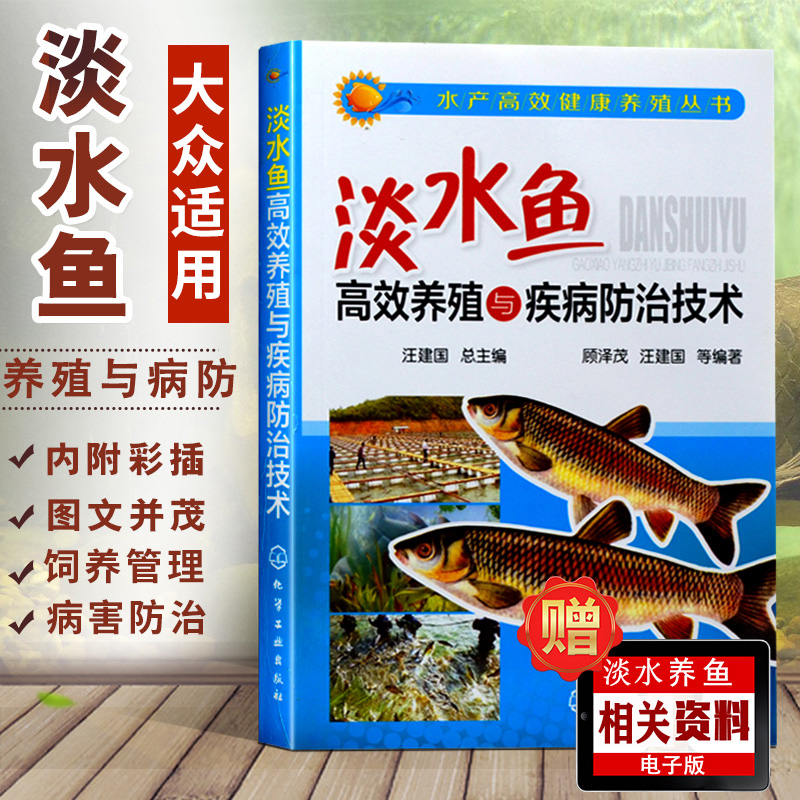 淡水鱼高效养殖与疾病防治技术 高效养鱼技术书 鱼病快速诊断与防治 鱼苗饲养建厂安全水产淡水鱼养殖技术书 水产养殖苗水产养殖书