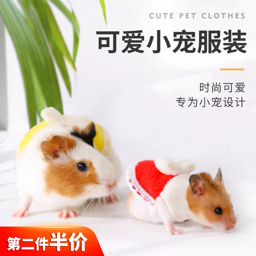 仓鼠的小衣服可爱夏天牵引金丝熊