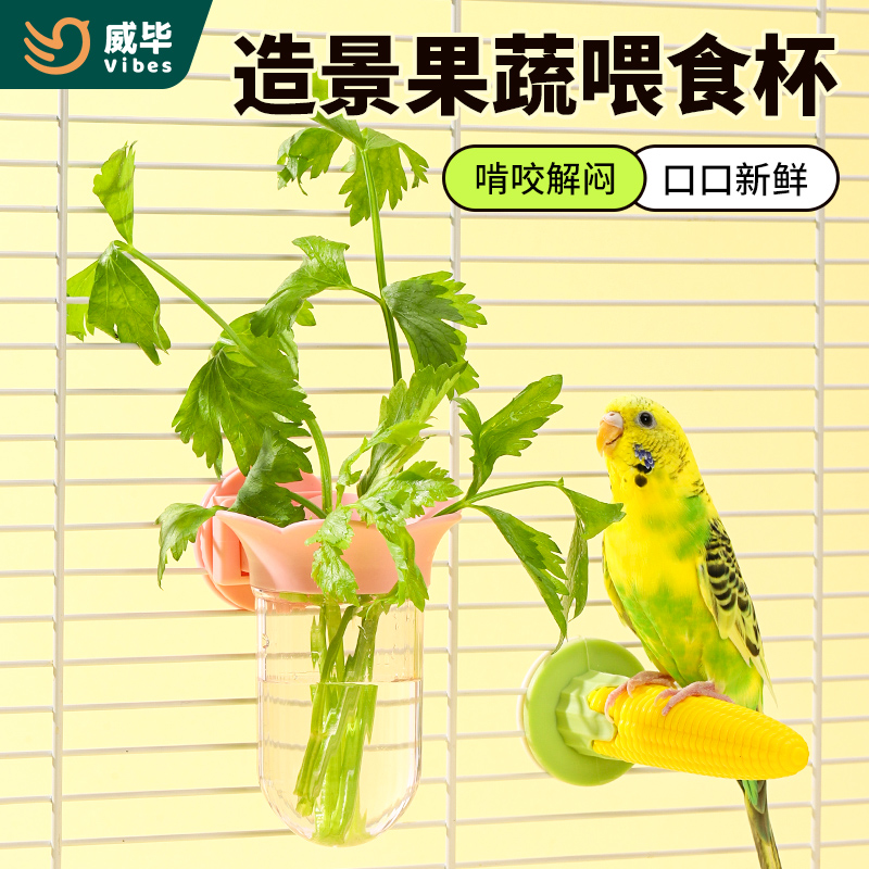 威毕鹦鹉水果篮蔬菜篮果蔬架喂食杯玄凤牡丹虎皮专用悬挂玩具用品