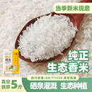 吉内得富硒大米5斤长粒香大米籼米丝苗米煲仔饭专用米 新米