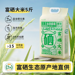 吉内得富硒大米5斤长粒香大米籼米优质大米煲仔饭专用米丝苗米